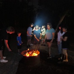 OLYMPUS DIGITAL CAMERA